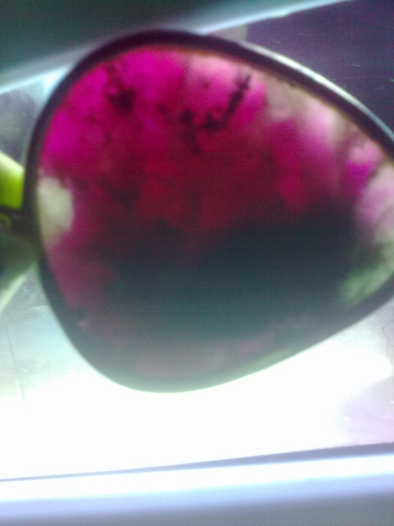 11082013836_2.jpg