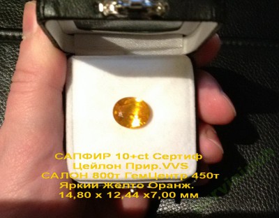 5547732000_1.jpg
