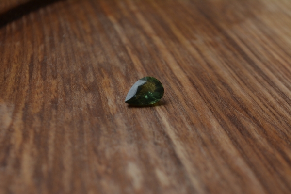 DSC_0910.JPG