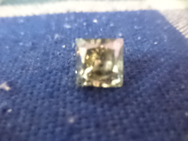 DSC01385.JPG