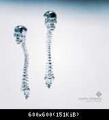 SpinalEarrings.246 copy