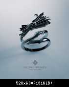 BroomRingVg