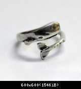 Moby-Dick-Ring