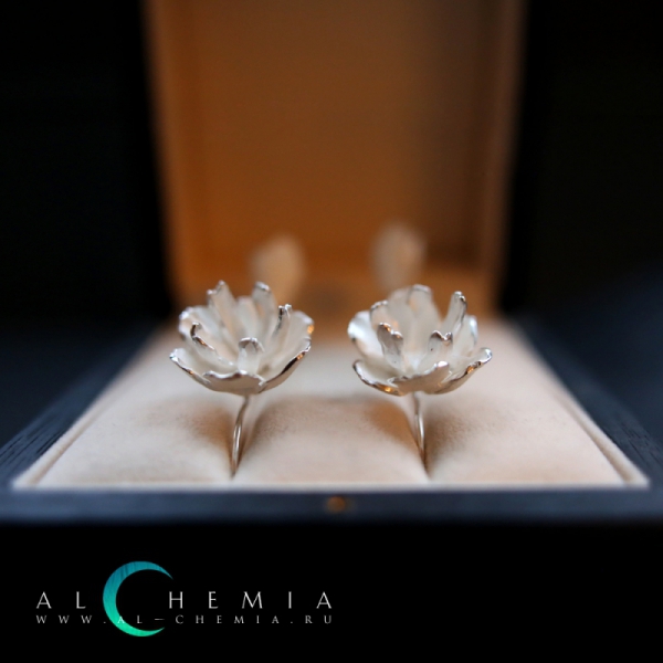 Alchemia img 10