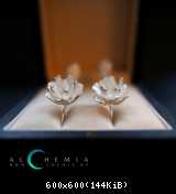 Alchemia img 10