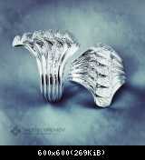 BookOfLife white