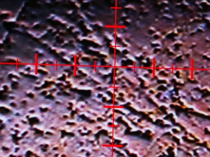 PICT6097.JPG