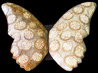Batterfly Agate Pair 1.jpg