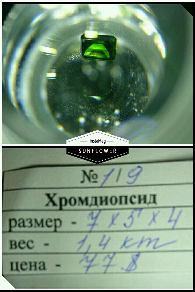 05.jpg