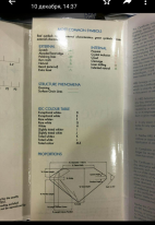 IMG_20181212_191110 (1).png